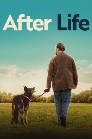 After Life T 3 C 2 online gratis