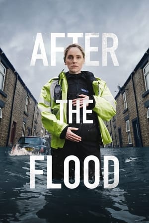 After the Flood Temporada 1 online gratis