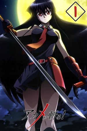 Akame ga Kill! Temporada 1 online gratis