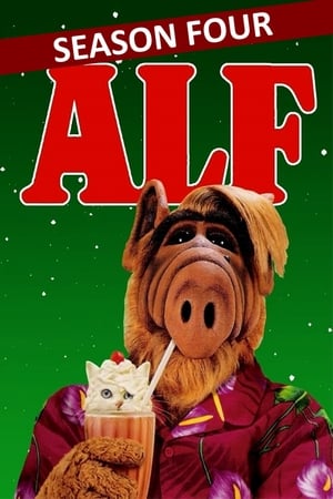 ALF T 4 C 24 online gratis