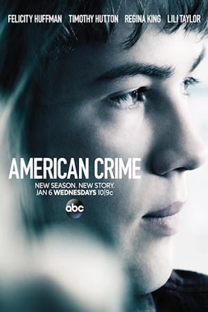 American Crime Temporada 2 online gratis