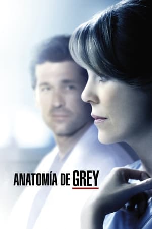 Anatomía de Grey Temporada 11 online gratis