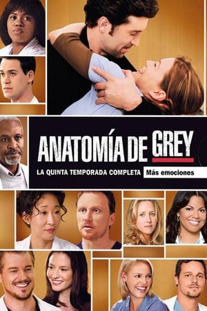 Anatomía de Grey T 5 C 22 online gratis