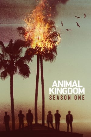 Animal Kingdom T 1 C 6 online gratis