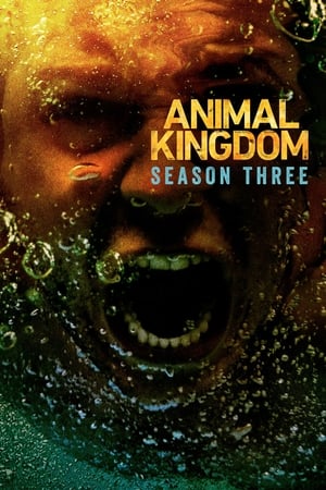 Animal Kingdom T 3 C 11 online gratis