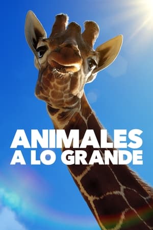 Animales a lo grande online