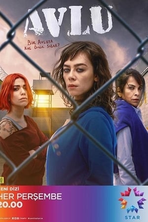 Avlu: El patio temporada  1 online