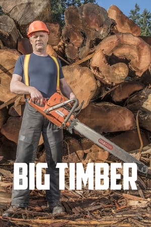 Big Timber T 1 C 4 online gratis