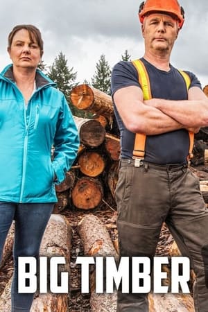 Big Timber online gratis