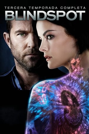 Blindspot Temporada 3 online gratis