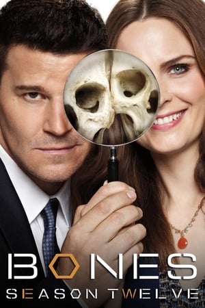 Bones T 12 C 2 online gratis