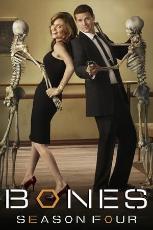 Bones T 4 C 3 online gratis