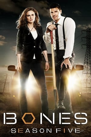 Bones T 5 C 6 online gratis