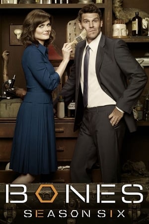 Bones Temporada 6 online gratis