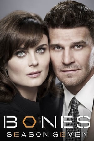 Bones T 7 C 7 online gratis