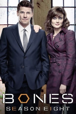 Bones Temporada 8 online gratis