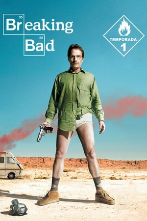 Breaking Bad T 1 C 6 online gratis