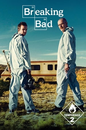 Breaking Bad Temporada 2 online gratis