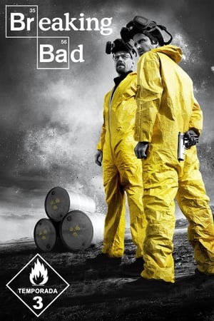 Breaking Bad T 3 C 8 online gratis