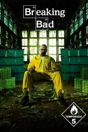 Breaking Bad T 5 C 10 online gratis