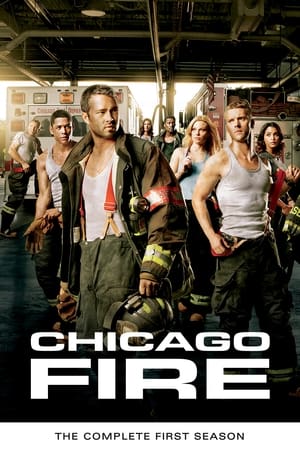 Chicago Fire T 1 C 17 online gratis