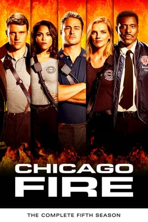 Chicago Fire T 5 C 15 online gratis