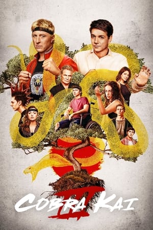 Cobra Kai T 3 C 2 online gratis