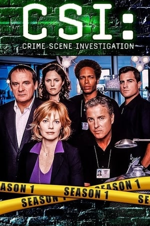 CSI: Las Vegas Temporada 1 online gratis