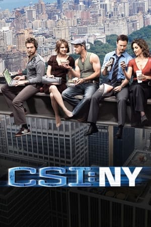 CSI: Nueva York temporada  1 online