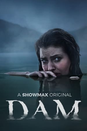 Dam Temporada 1 online gratis