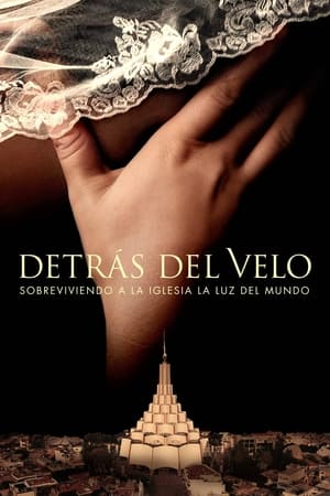 Detrás del velo: Sobreviviendo a la iglesia de La Luz del Mundo T 1 C 2 online gratis