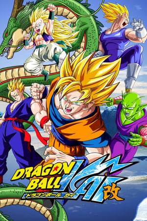 Dragon Ball Kai Temporada 0 online gratis