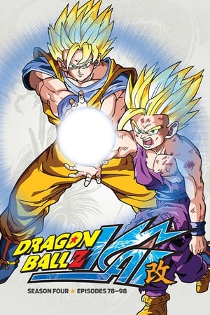 Dragon Ball Kai T 4 C 11 online gratis