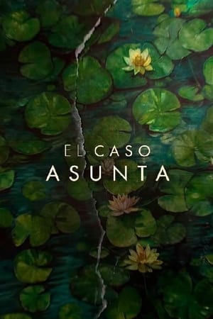 El caso Asunta T 1 C 1 online gratis