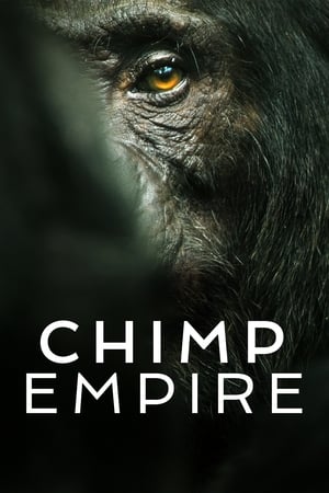 El imperio de los chimpancés T 1 C 1 online gratis