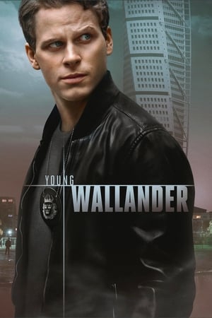 El joven Wallander T 1 C 5 online gratis