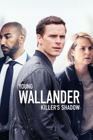 El joven Wallander T 2 C 4 online gratis