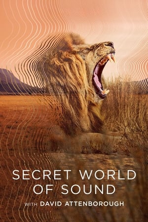 El mundo secreto del sonido con David Attenborough T 1 C 2 online gratis