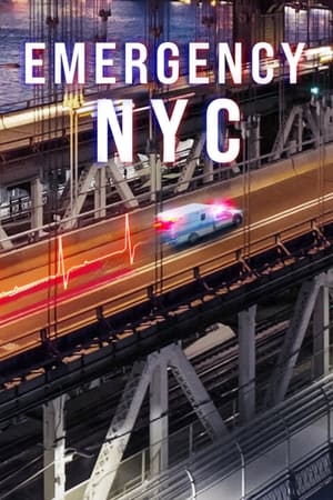 Emergencias: Nueva York T 1 C 5 online gratis