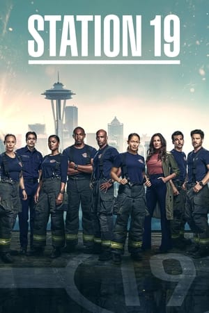 Estación 19 Temporada 6 online gratis