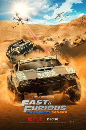 Fast & Furious: Espías a todo gas T 3 C 8 online gratis