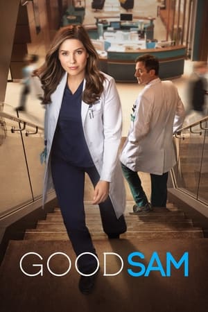 Good Sam Temporada 1 online gratis