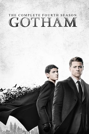 Gotham T 4 C 20 online gratis