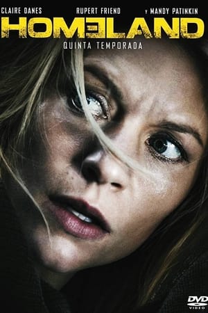 Homeland T 5 C 5 online gratis