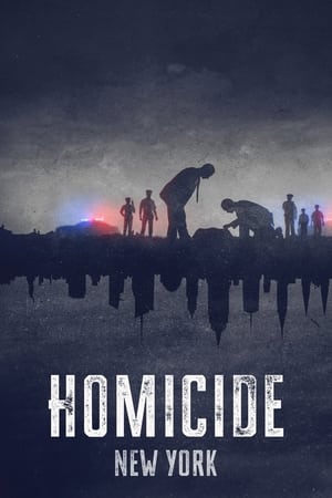 Homicidio T 1 C 3 online gratis