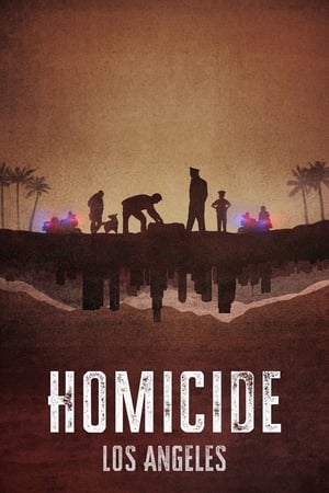 Homicidio temporada  2 online