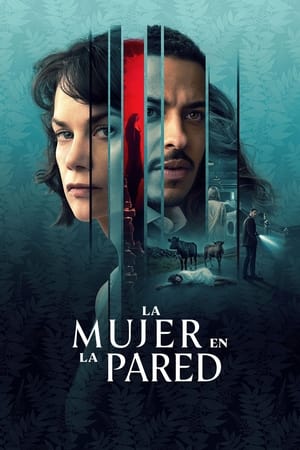 La mujer en la pared Temporada 1 online gratis