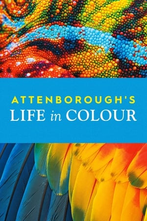 La vida a todo color, con David Attenborough T 1 C 2 online gratis