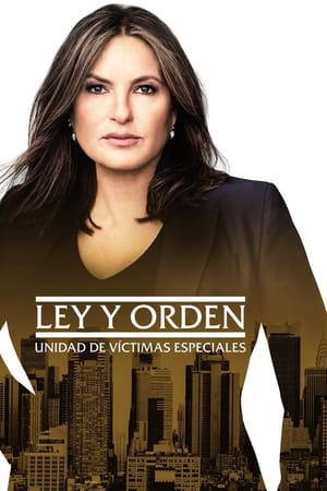 Ley y orden: Unidad de Víctimas Especiales T 23 C 11 online gratis