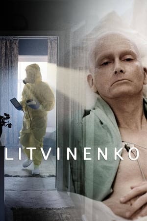 Litvinenko temporada  1 online